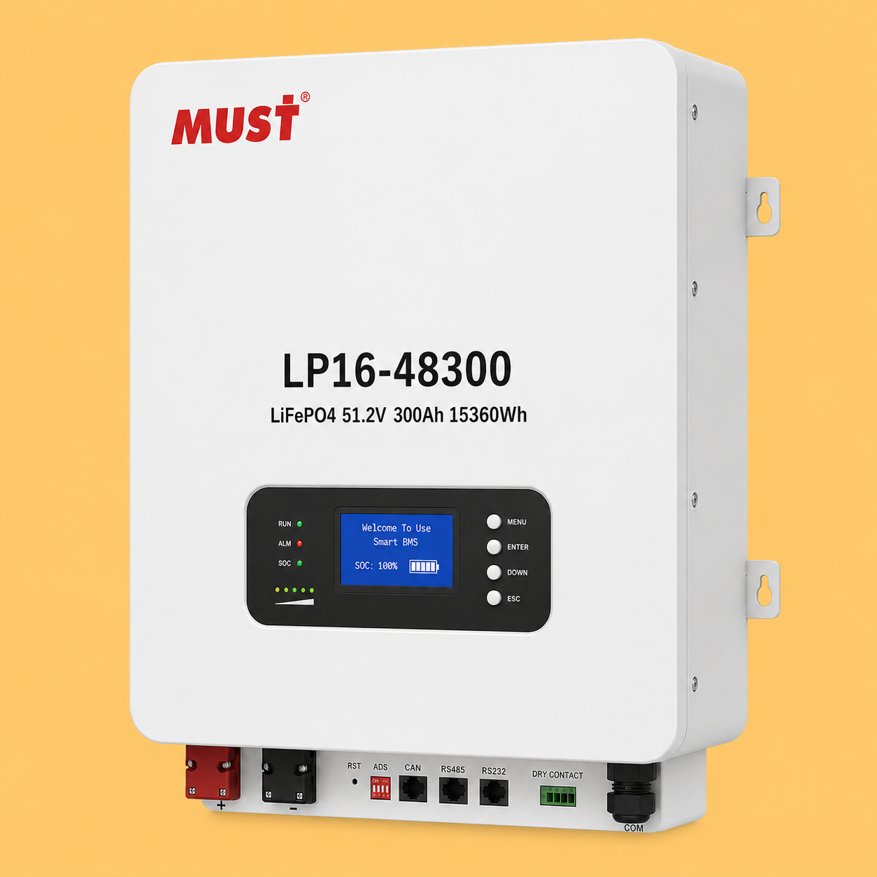 LP16-48300 LIFe PO4 Wall-mounted 51.2V 300Ah 15360wh